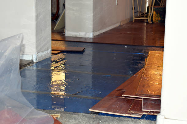 Professional Basement Water Removal technician working in Baldwin, MI