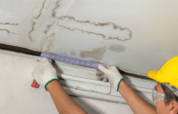 Reliable Basement Water Removal contractor in Baldwin, MI by Water Damage Irwin